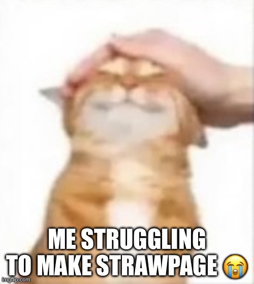 Cat being petted | ME STRUGGLING TO MAKE STRAWPAGE 😭 | image tagged in cat being petted | made w/ Imgflip meme maker