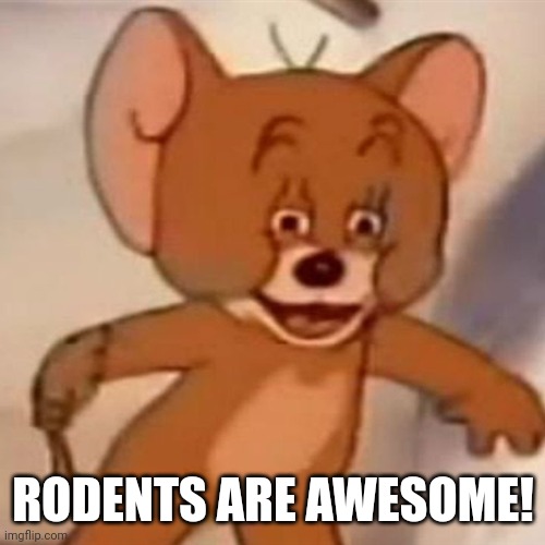 Polish Jerry | RODENTS ARE AWESOME! | image tagged in polish jerry | made w/ Imgflip meme maker