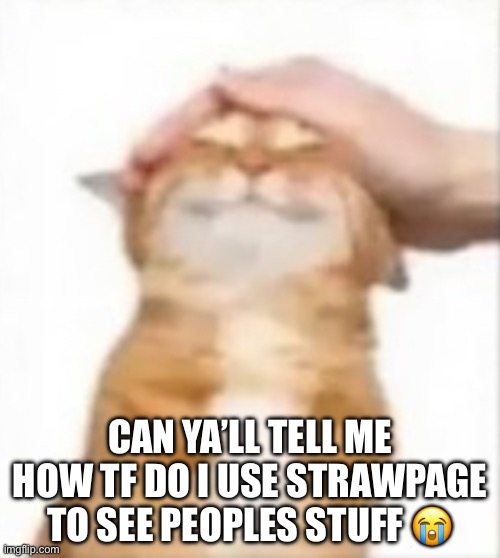 Cat being petted | CAN YA’LL TELL ME HOW TF DO I USE STRAWPAGE TO SEE PEOPLES STUFF 😭 | image tagged in cat being petted | made w/ Imgflip meme maker