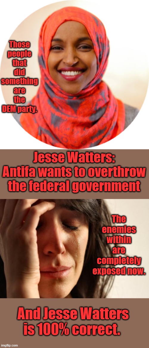 Those people that did something are the DEM party. Jesse Watters: Antifa wants to overthrow the federal government; The enemies within are completely exposed now. And Jesse Watters is 100% correct. | image tagged in ilhan omar png circle,memes,first world problems | made w/ Imgflip meme maker