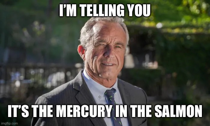 Robert F. Kennedy, Jr. | I’M TELLING YOU IT’S THE MERCURY IN THE SALMON | image tagged in robert f kennedy jr | made w/ Imgflip meme maker
