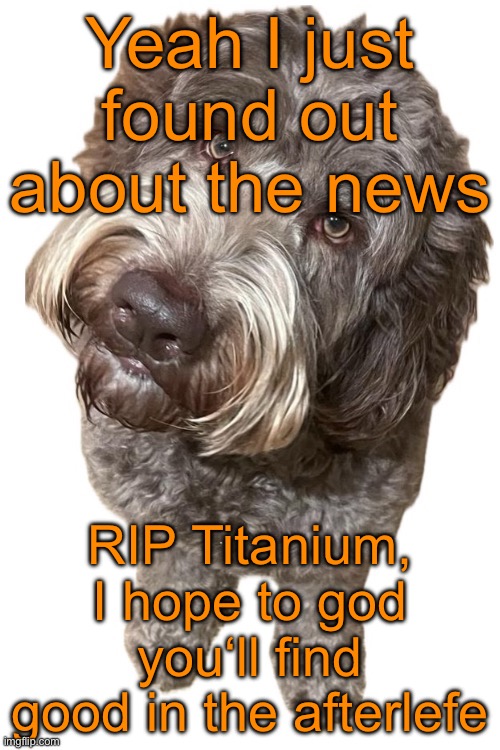 Norther's dog | Yeah I just found out about the news; RIP Titanium, I hope to god you‘ll find good in the afterlife | image tagged in norther's dog | made w/ Imgflip meme maker