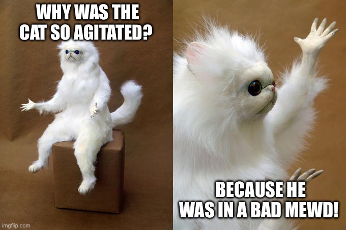 Persian Cat Room Guardian | WHY WAS THE CAT SO AGITATED? BECAUSE HE WAS IN A BAD MEWD! | image tagged in memes,persian cat room guardian,jokes,cats,cute cat | made w/ Imgflip meme maker
