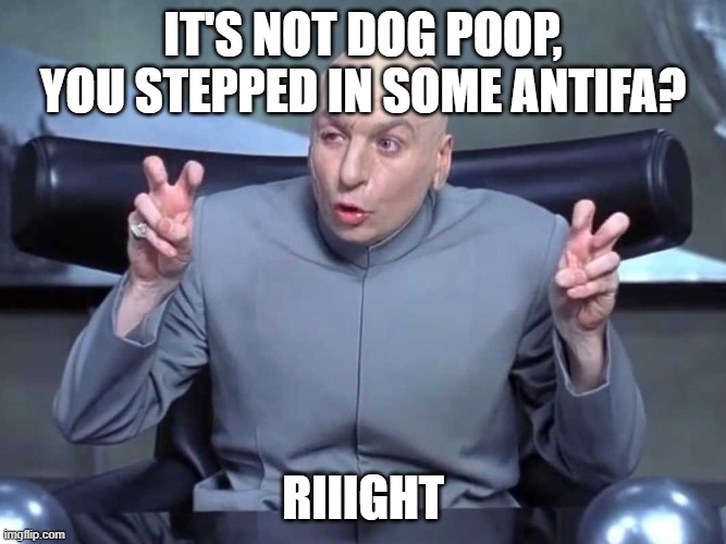 I stepped on some Antifa | IT'S NOT DOG POOP,
YOU STEPPED IN SOME ANTIFA? RIIIGHT | image tagged in dr evil air quotes | made w/ Imgflip meme maker