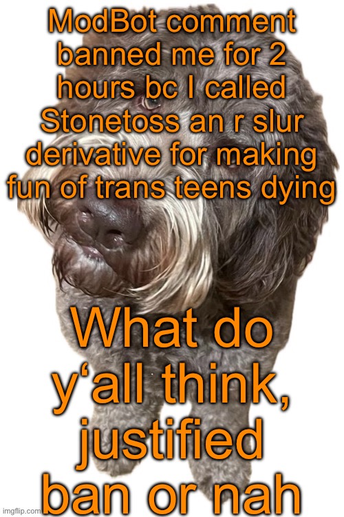 Norther's dog | ModBot comment banned me for 2 hours bc I called Stonetoss an r slur derivative for making fun of trans teens dying; What do y‘all think, justified ban or nah | image tagged in norther's dog | made w/ Imgflip meme maker
