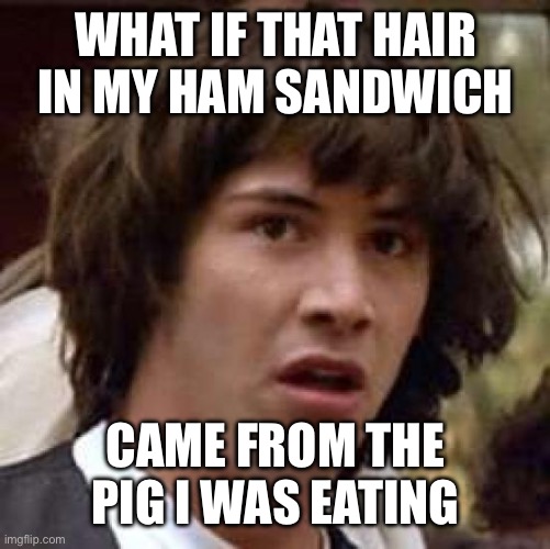Conspiracy Keanu Meme | WHAT IF THAT HAIR IN MY HAM SANDWICH; CAME FROM THE PIG I WAS EATING | image tagged in memes,conspiracy keanu | made w/ Imgflip meme maker