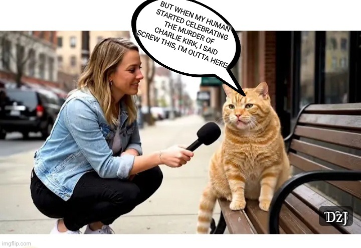 Kitty Bolted | BUT WHEN MY HUMAN STARTED CELEBRATING THE MURDER OF CHARLIE KIRK, I SAID SCREW THIS, I'M OUTTA HERE; DzJ | image tagged in smart,cats,hate,libtards | made w/ Imgflip meme maker