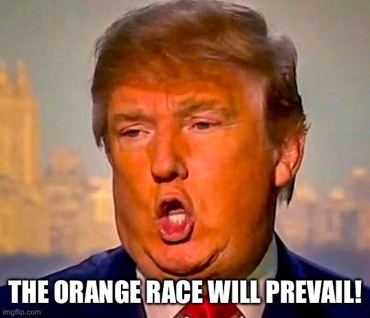 Trump Orange | THE ORANGE RACE WILL PREVAIL! | image tagged in trump orange | made w/ Imgflip meme maker