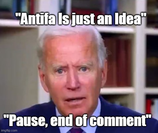 "Pause, end of comment" "Antifa Is just an Idea" | made w/ Imgflip meme maker