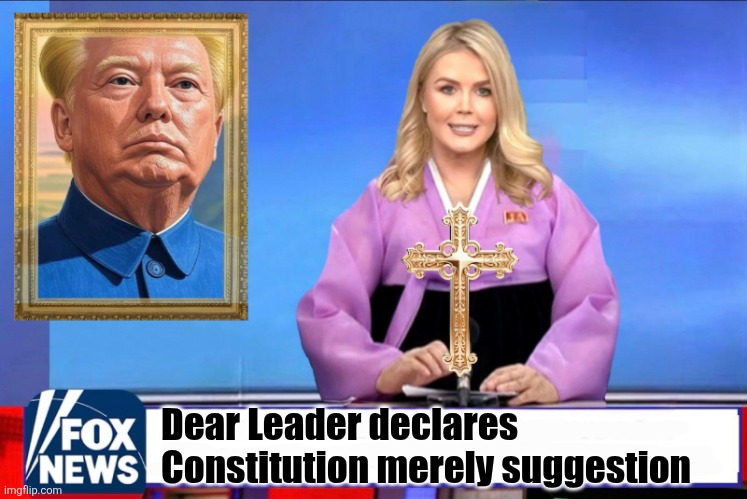 Dear Leader | Dear Leader declares Constitution merely suggestion | image tagged in dear leader | made w/ Imgflip meme maker