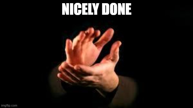 hands clapping political | NICELY DONE | image tagged in hands clapping political | made w/ Imgflip meme maker