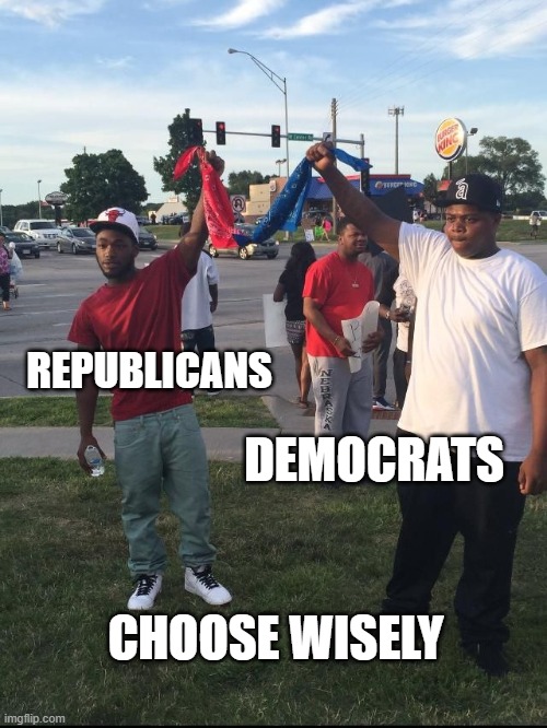 who do you trust | REPUBLICANS; DEMOCRATS; CHOOSE WISELY | image tagged in crips bloods,republicans,maga | made w/ Imgflip meme maker