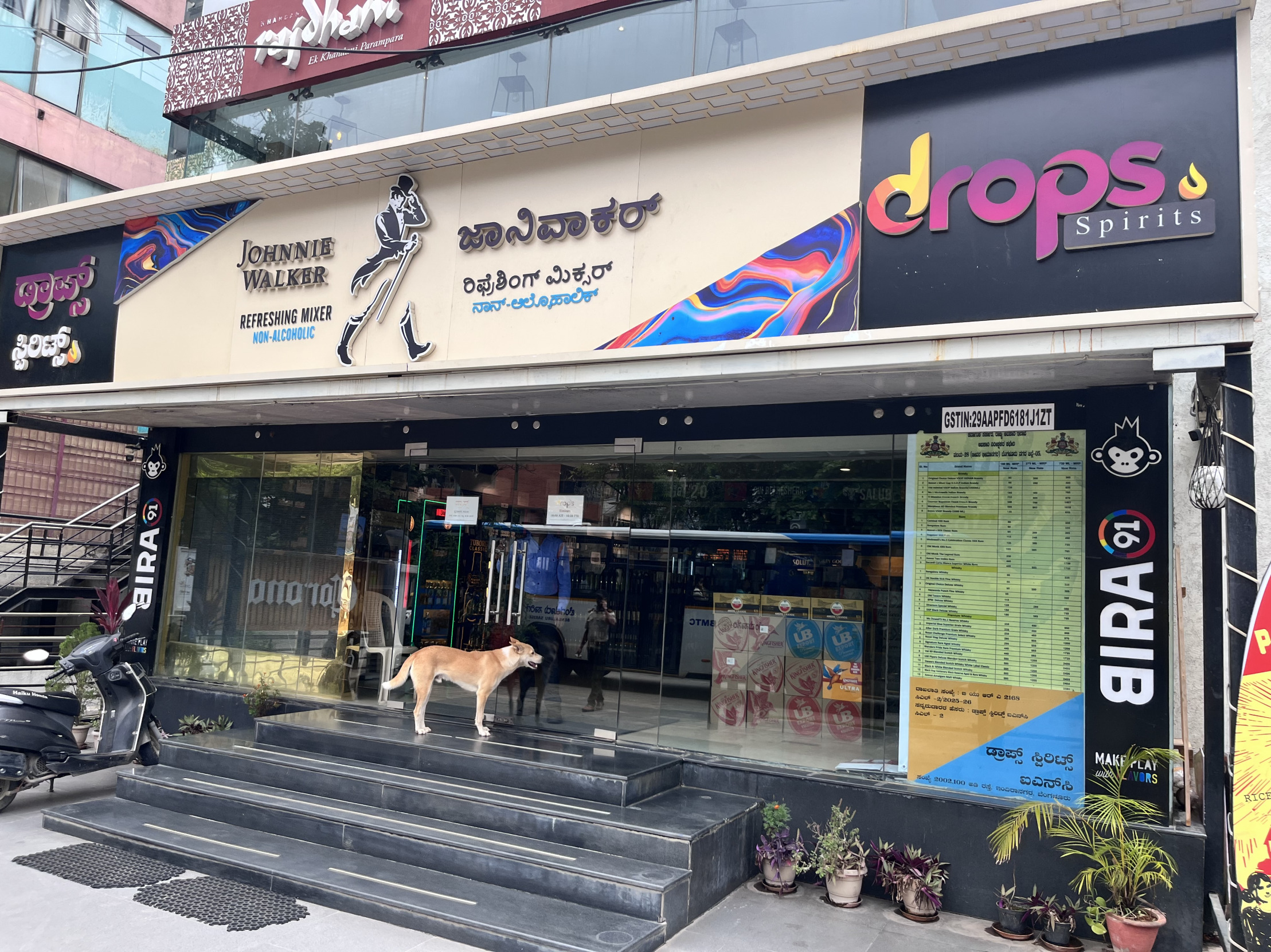 Dogesh Drunk Blank Meme Template