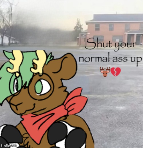 Forrest - Sybau | image tagged in forrest - sybau | made w/ Imgflip meme maker
