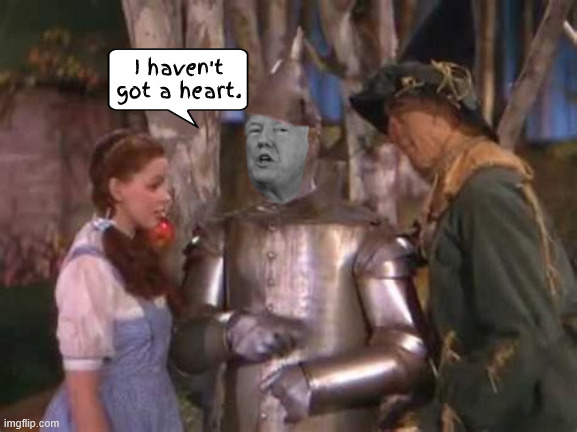 Trump hasn't a heart | I haven't got a heart. | image tagged in trump hasn't a heart,tinman trump,heartless bloodsucker,if i had a heart i give it to putin,maga metalman | made w/ Imgflip meme maker