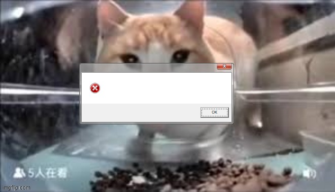 Doge Anti-Piracy 1 (Part 1A) | image tagged in chinese cat feeder camera meme | made w/ Imgflip meme maker
