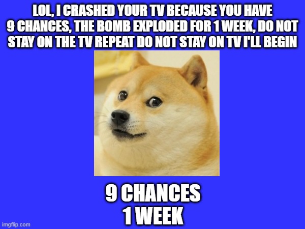 Doge Anti-Piracy 1 (Part 1B) | LOL, I CRASHED YOUR TV BECAUSE YOU HAVE 9 CHANCES, THE BOMB EXPLODED FOR 1 WEEK, DO NOT STAY ON THE TV REPEAT DO NOT STAY ON TV I'LL BEGIN; 9 CHANCES
1 WEEK | image tagged in doge anti-piracy | made w/ Imgflip meme maker