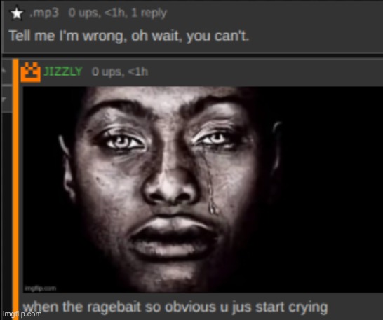 made w/ Imgflip meme maker