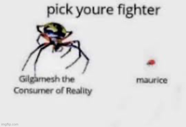 maurice solos | made w/ Imgflip meme maker