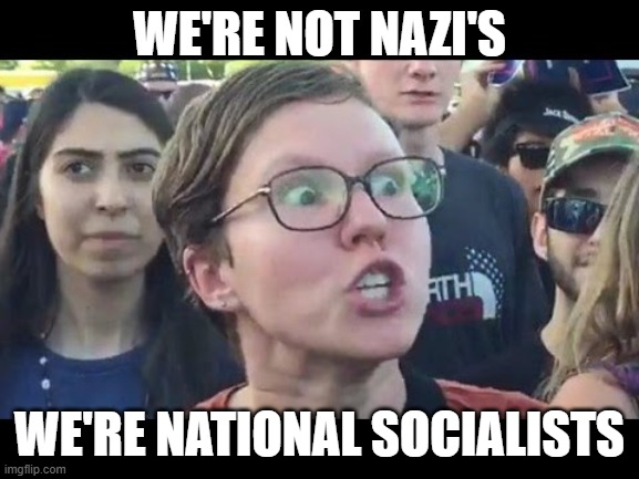 Angry sjw | WE'RE NOT NAZI'S WE'RE NATIONAL SOCIALISTS | image tagged in angry sjw | made w/ Imgflip meme maker