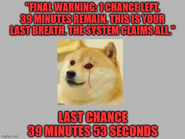 Doge Anti-Piracy 1 (Part 9) | "FINAL WARNING: 1 CHANCE LEFT. 39 MINUTES REMAIN. THIS IS YOUR LAST BREATH. THE SYSTEM CLAIMS ALL."; LAST CHANCE
39 MINUTES 53 SECONDS | image tagged in doge anti-piracy | made w/ Imgflip meme maker