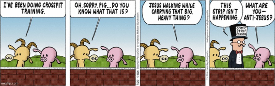 Pearls Before Swine | image tagged in comics | made w/ Imgflip meme maker