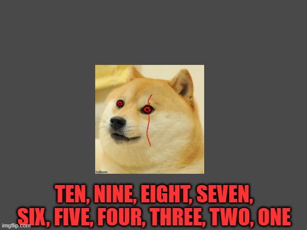 Doge Anti-Piracy 1 (Part 11A) | TEN, NINE, EIGHT, SEVEN, SIX, FIVE, FOUR, THREE, TWO, ONE | image tagged in doge anti-piracy | made w/ Imgflip meme maker