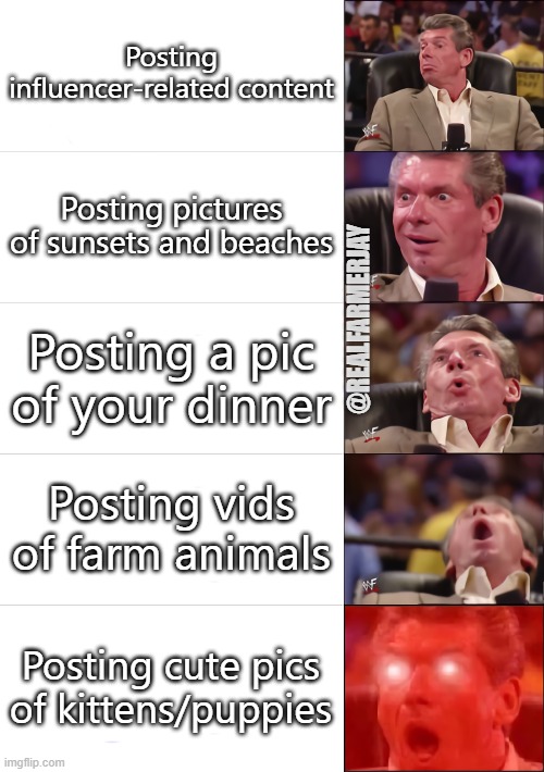Engagement Scale - Defined! | Posting influencer-related content; Posting pictures of sunsets and beaches; @REALFARMERJAY; Posting a pic of your dinner; Posting vids of farm animals; Posting cute pics of kittens/puppies | image tagged in vince mcmahon 5 tier | made w/ Imgflip meme maker