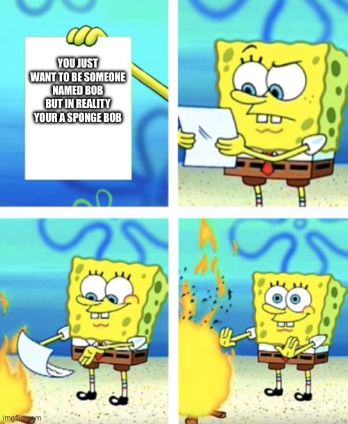 Sponge bob paper in fire | YOU JUST WANT TO BE SOMEONE NAMED BOB BUT IN REALITY YOUR A SPONGE BOB | image tagged in sponge bob paper in fire | made w/ Imgflip meme maker