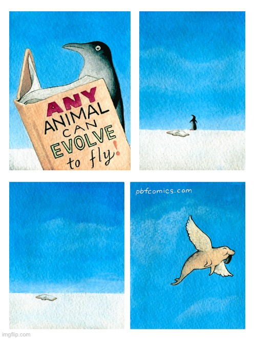 He didn’t evolve fast enough… | image tagged in comics,pbf,seal,flight,evolve,flying seal | made w/ Imgflip meme maker