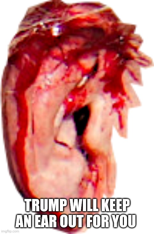 TRUMP'S BLOODY SHOT EAR | TRUMP WILL KEEP AN EAR OUT FOR YOU | image tagged in trump's bloody shot ear | made w/ Imgflip meme maker