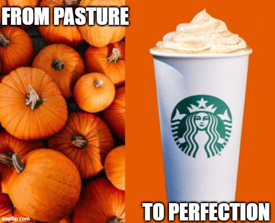 Pumpkin Spice | FROM PASTURE; TO PERFECTION | image tagged in pumpkin spice latte,great pumpkin | made w/ Imgflip meme maker