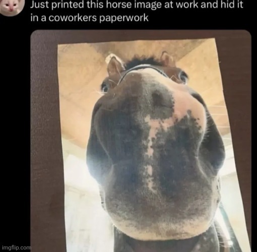 hors | made w/ Imgflip meme maker