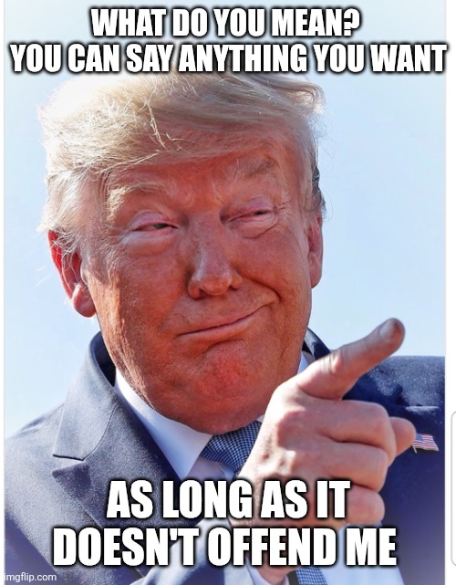 Trump pointing | WHAT DO YOU MEAN? 
YOU CAN SAY ANYTHING YOU WANT AS LONG AS IT DOESN'T OFFEND ME | image tagged in trump pointing | made w/ Imgflip meme maker