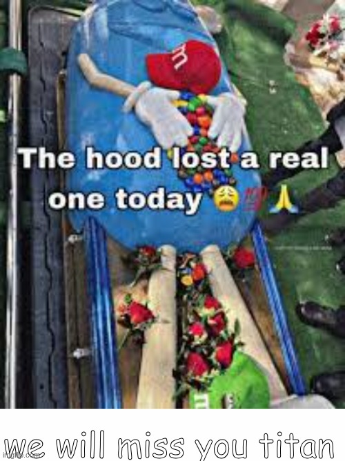 we will miss you titan | image tagged in the hood lost a real one today,white text box | made w/ Imgflip meme maker