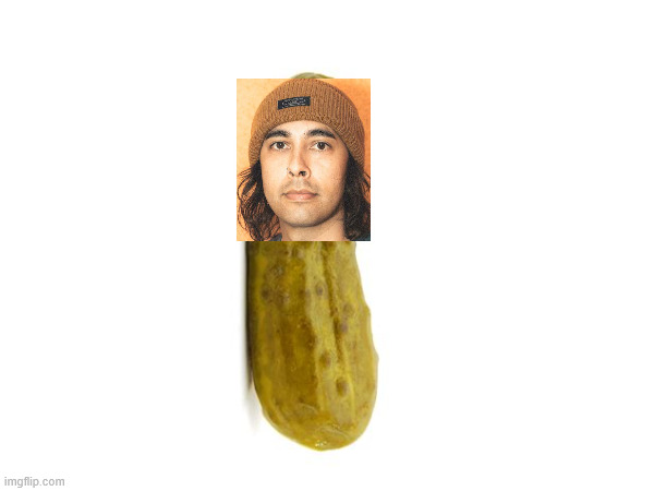vickle the pickle | image tagged in pickle | made w/ Imgflip meme maker