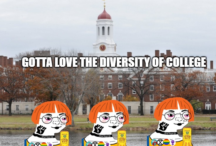 the woke army | GOTTA LOVE THE DIVERSITY OF COLLEGE | image tagged in harvard,diversity,woke,college,indoctrination | made w/ Imgflip meme maker