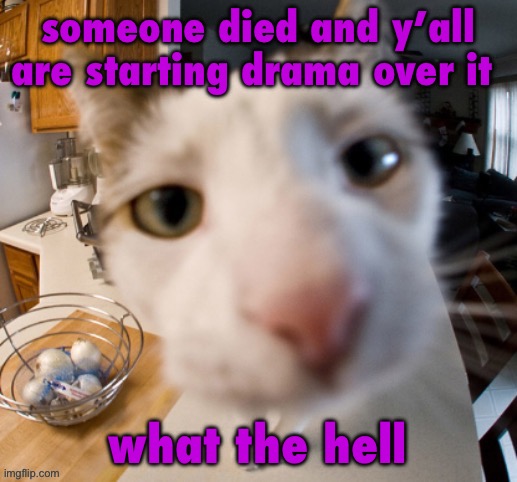 he | someone died and y’all are starting drama over it; what the hell | image tagged in he | made w/ Imgflip meme maker