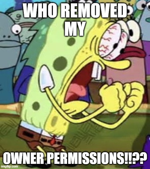 WHO OVERTHREW ME? | WHO REMOVED
MY; OWNER PERMISSIONS!!?? | image tagged in yelling spongebob,ref | made w/ Imgflip meme maker