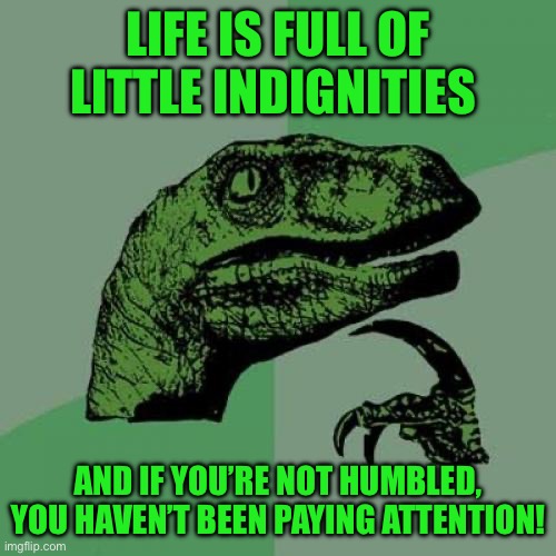 Philosoraptor | LIFE IS FULL OF LITTLE INDIGNITIES; AND IF YOU’RE NOT HUMBLED, YOU HAVEN’T BEEN PAYING ATTENTION! | image tagged in memes,philosoraptor | made w/ Imgflip meme maker