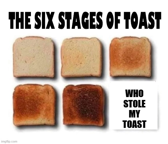 WHO
STOLE
MY
TOAST | made w/ Imgflip meme maker