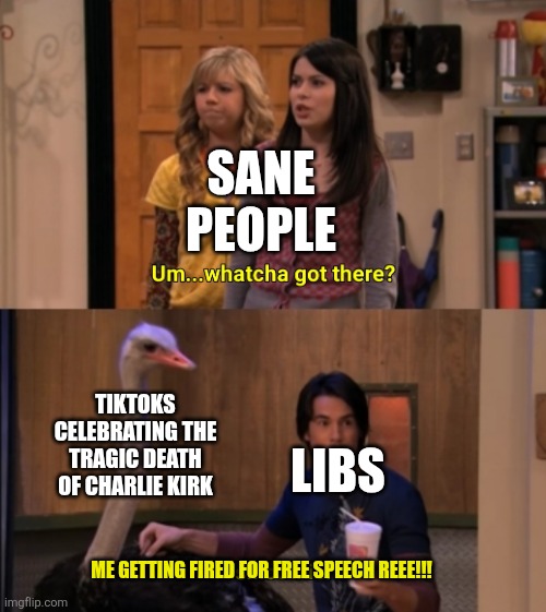 Whatcha Got There? | SANE PEOPLE; TIKTOKS CELEBRATING THE TRAGIC DEATH OF CHARLIE KIRK; LIBS; ME GETTING FIRED FOR FREE SPEECH REEE!!! | image tagged in whatcha got there | made w/ Imgflip meme maker