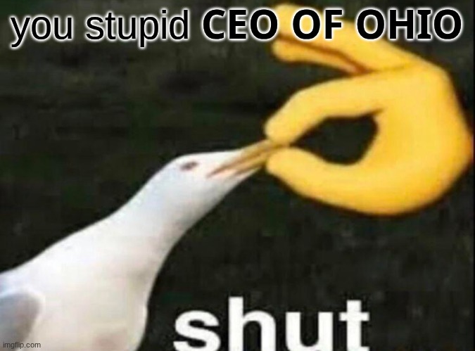 SHUT | you stupid ??? ?? ???? | image tagged in shut | made w/ Imgflip meme maker