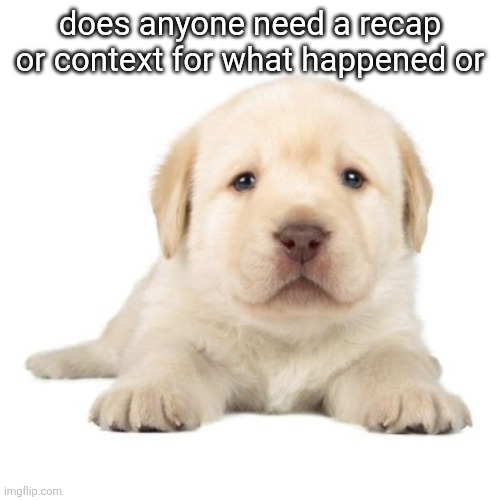 really cute puppy | does anyone need a recap or context for what happened or | image tagged in really cute puppy | made w/ Imgflip meme maker
