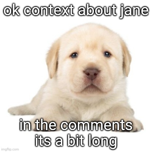 really cute puppy | ok context about jane; in the comments its a bit long | image tagged in really cute puppy | made w/ Imgflip meme maker