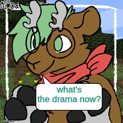 no fr tho wtf | what's the drama now? | image tagged in forrest reaction temp | made w/ Imgflip meme maker