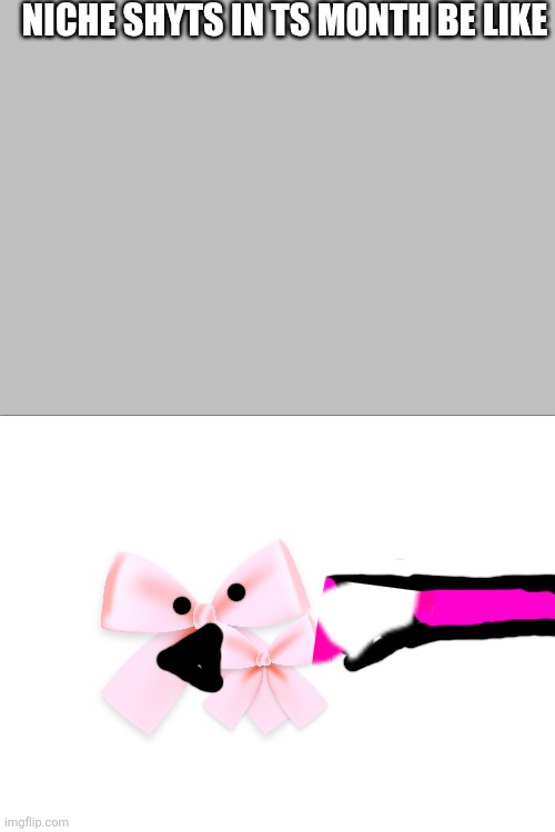 Who wants niche bows?! | NICHE SHYTS IN TS MONTH BE LIKE | image tagged in bow,funny shit,funny,september,oh wow are you actually reading these tags | made w/ Imgflip meme maker