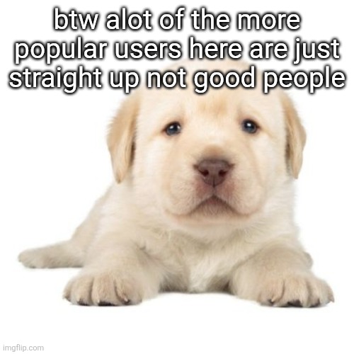 really cute puppy | btw alot of the more popular users here are just straight up not good people | image tagged in really cute puppy | made w/ Imgflip meme maker