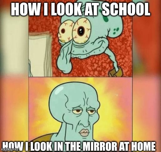 Ugly and Handsome Squidward | HOW I LOOK AT SCHOOL; HOW I LOOK IN THE MIRROR AT HOME | image tagged in ugly and handsome squidward | made w/ Imgflip meme maker