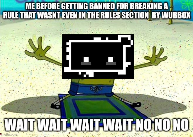 WAIT` | ME BEFORE GETTING BANNED FOR BREAKING A RULE THAT WASNT EVEN IN THE RULES SECTION  BY WUBBOX; WAIT WAIT WAIT WAIT NO NO NO | image tagged in spongebob falling wait | made w/ Imgflip meme maker